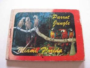 Burun Danga: Antiguo Juego De Postales Papagallo P1-b1 Ppl
