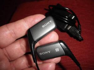 Auriculares Sony Acuatico Mdr-as600 Bt Con Bluetooth Y Nfc
