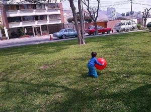 DEPARTAMENTO EN ALQUILER EN CAMACHO SURCO
