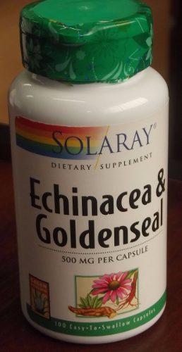 Echinacea Golden Seal 500 Mg - Solaray - Importado Usa