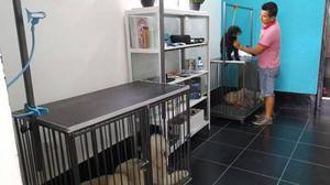 Mesa Para Peluquería Canina Veterinaria Groomer Con Jaula
