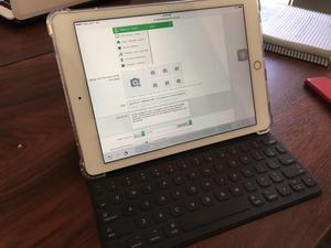 Ipad Pro 9.7¨Gold Rose Wifi 4G Usado con su Smart Keyboard