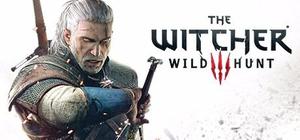The Witcher 3: Wild Hunt Steam