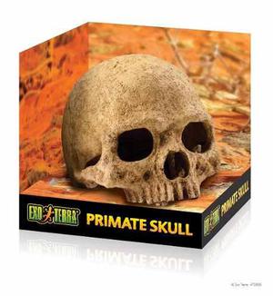 Primate Skull/ Cueva Para Reptiles /adorno- Exo Terra