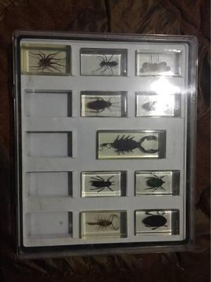Colección Bichos Periódico Comercio Insectos Con Folleto