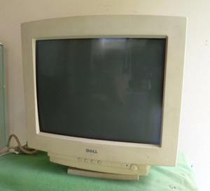 Monitor Dell Dl 17 Pulgadas Vga Color Beige