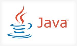 Asesoria en Programacion Java