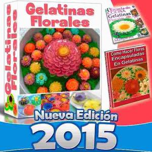 2x1 Kit Manual De Gelatinas Decoradas 3d Florales Cupcake