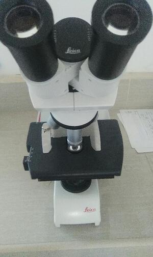 Microscopio.lb