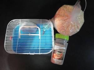 Hamsters Pequeños Jaula/transportadora Alimento Y Sustrato
