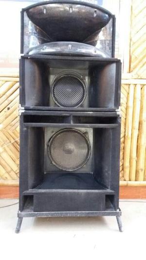 Vendo Parlantes Peavey en Caja 