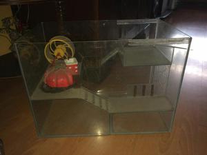 Casa para Hamster