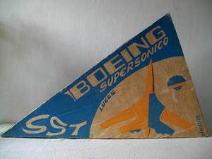 Avion Supersonico Boeing Eletrico Nacoral Coleccionable