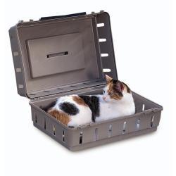 Caja De Transporte Perros, Gatos, Aves En Cabina De Avión