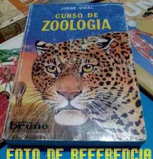 Curso De Zoologia Jorge Vidal Editorial Bruño Buenestado