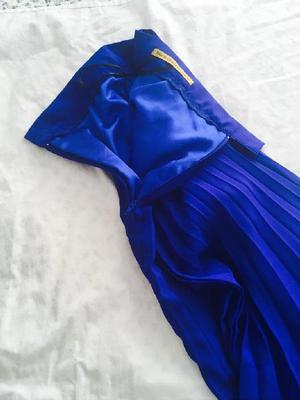 Falda Azul de Diseñadora