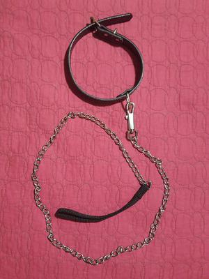 Collar Cadena para Perro