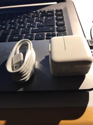 Cargador Apple Ipad Air Mini Original 10w + Cable Lightning