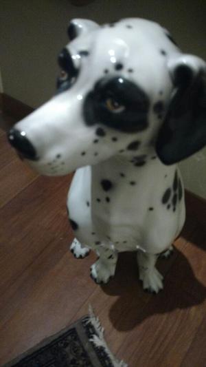 Hermoso Dalmata