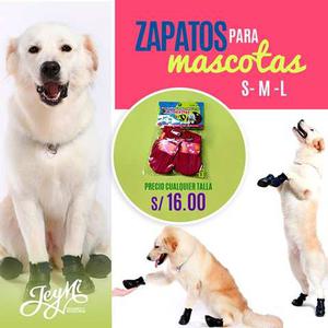 Zapatos Para Mascota