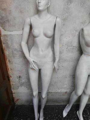 Maniquies