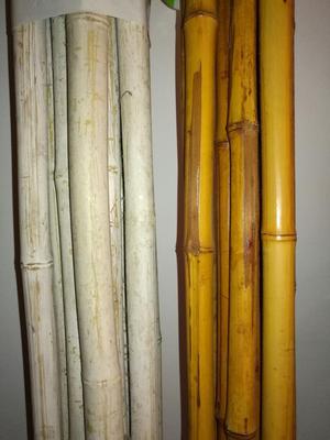 Nueve Bambus