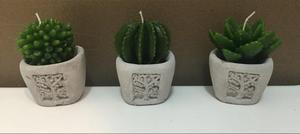 Trio de Velas-Macetas Cactus