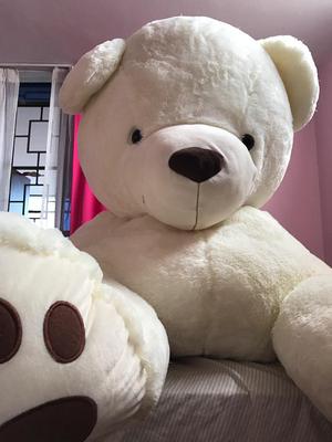 Oso Peluche 1.60M