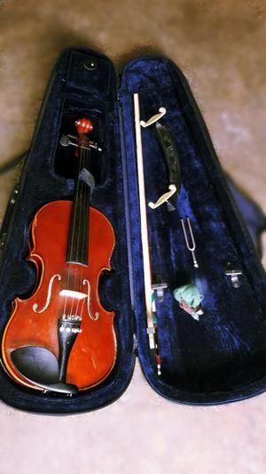 Violin Melody con Sus Accesorios Mas..