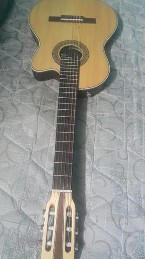 Guitarra Profesional Semisolida