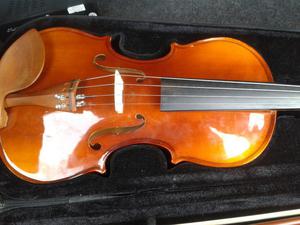 Violin Completo 4/4 Semi Nuevo
