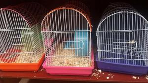 jaulas para hamster con animal incluido y bebedero