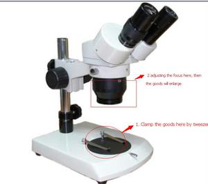 microscopio estereoscopico