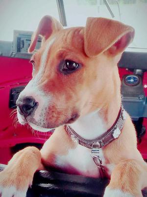 Se Vende