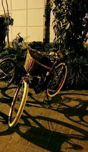 Bicicleta Vintage Mujer