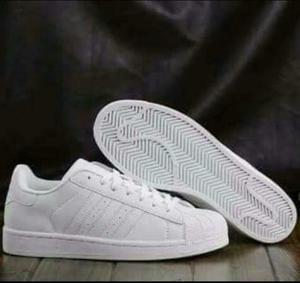 Adidas Super Star Withe