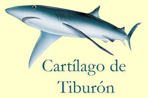 HARINA DE CARTILAGO DE TIBURON PRODUCTOS NATURALES JRD