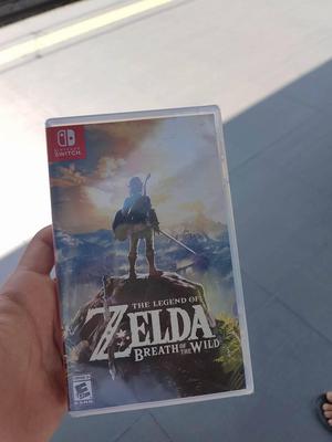 zelda breath of the wild