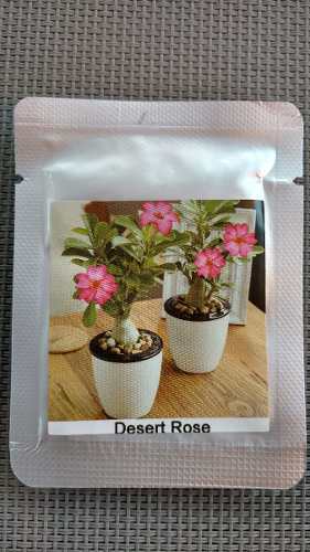 1 Semilla De Rosa Del Desierto / Desert Rose 100% Original