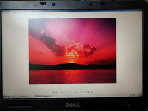 Laptop Dell Latitude 131l Usada