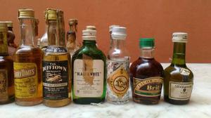 Colección Mundial De Botellas De Licor Miniatura