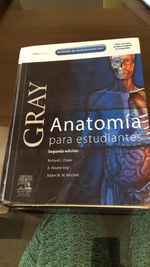 Anatomía- Gray