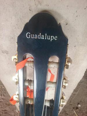 Guitarra Guitarra Guadalupe Semi Nueva