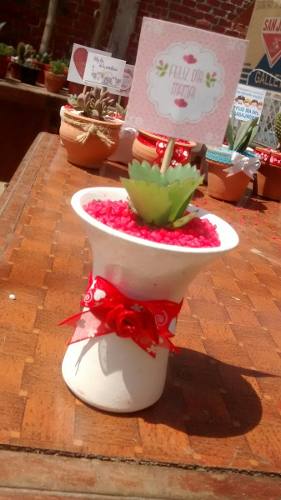 Recuerdos Cactus (Plantas) Dia De La Madre