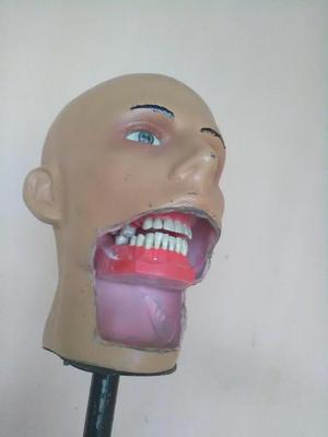 cabeza odontologo
