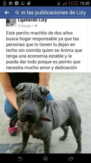 Adopcion Responsable Sharpie