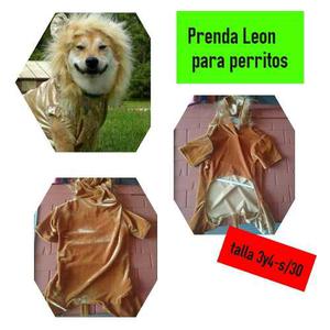 Prendas De Leon Myo Talla 3y 4 Para Mascotas