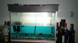 Vendo Acuario