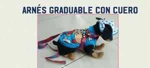 Myo Correas Graduables Con Cuero Para Mascotas