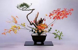 Ikebana Arreglo de Flores Estilo Japones